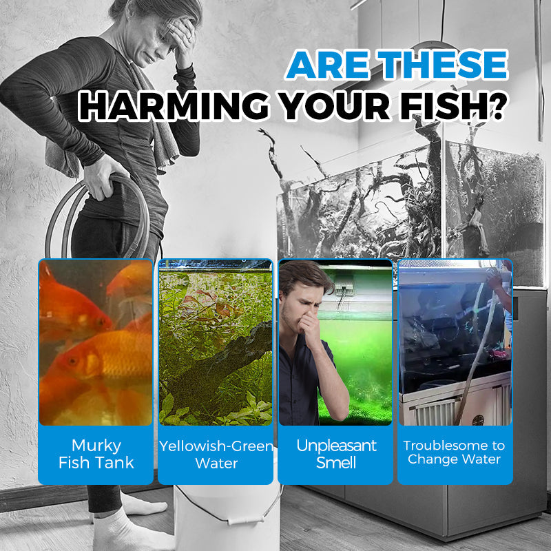🎁Hot sale🔥 Automatic Aquarium Filter System