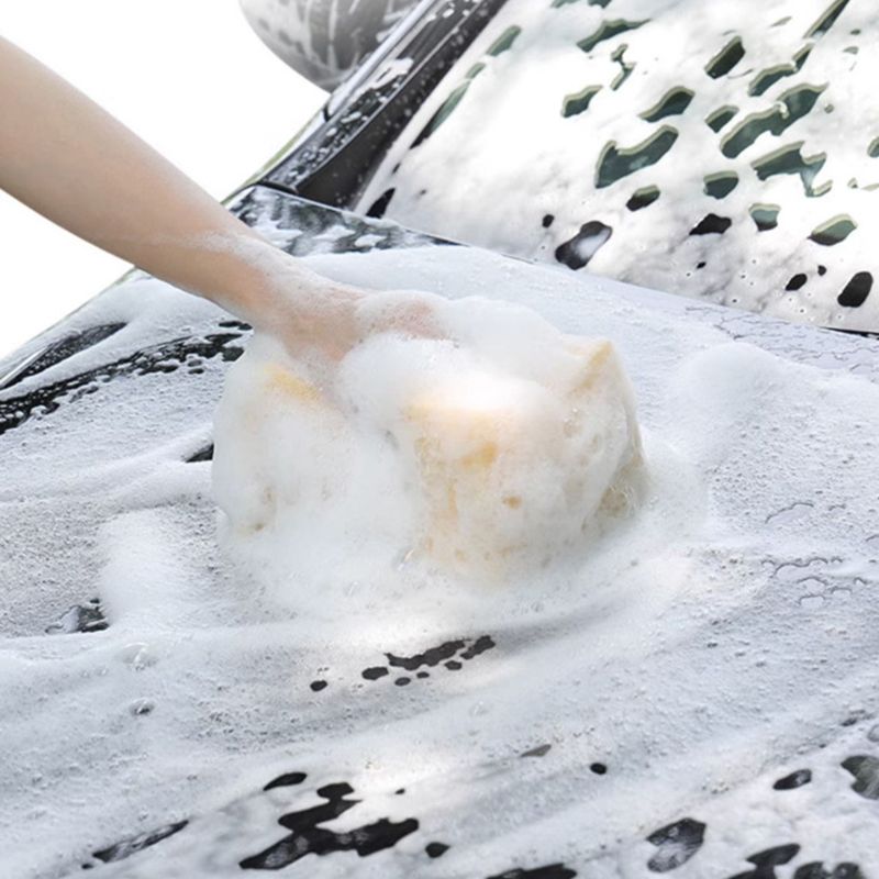 🫧 Limited Time Half Price - High Foam Car Wash Sprayer
