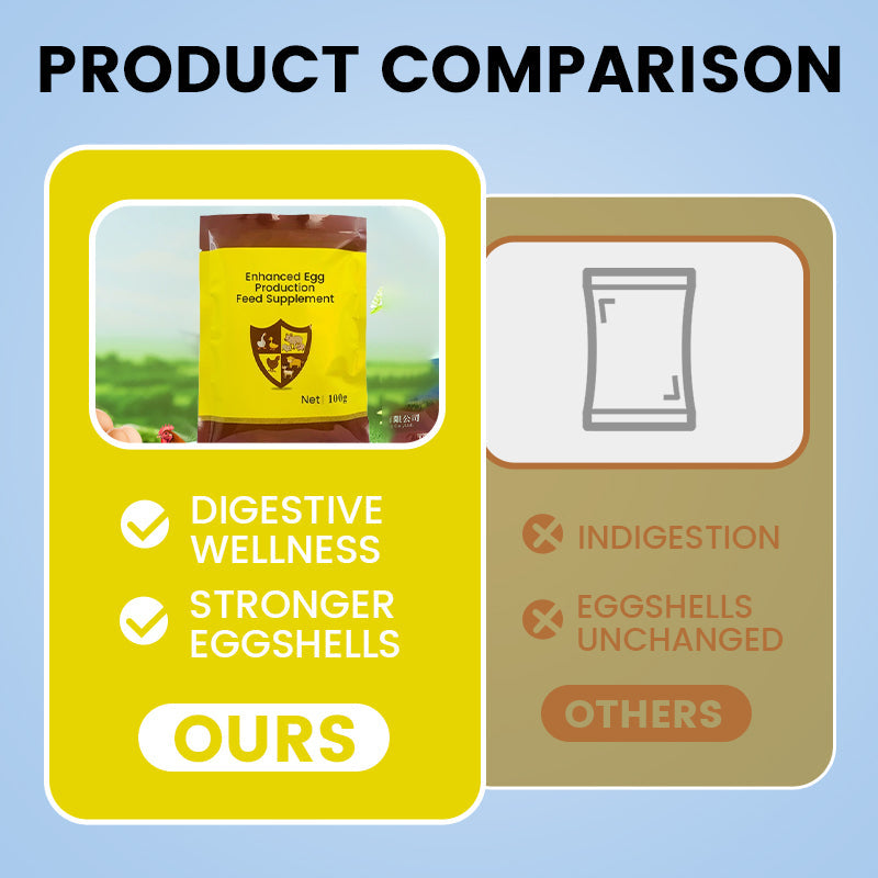 Enhanced Egg Production Feed Supplement