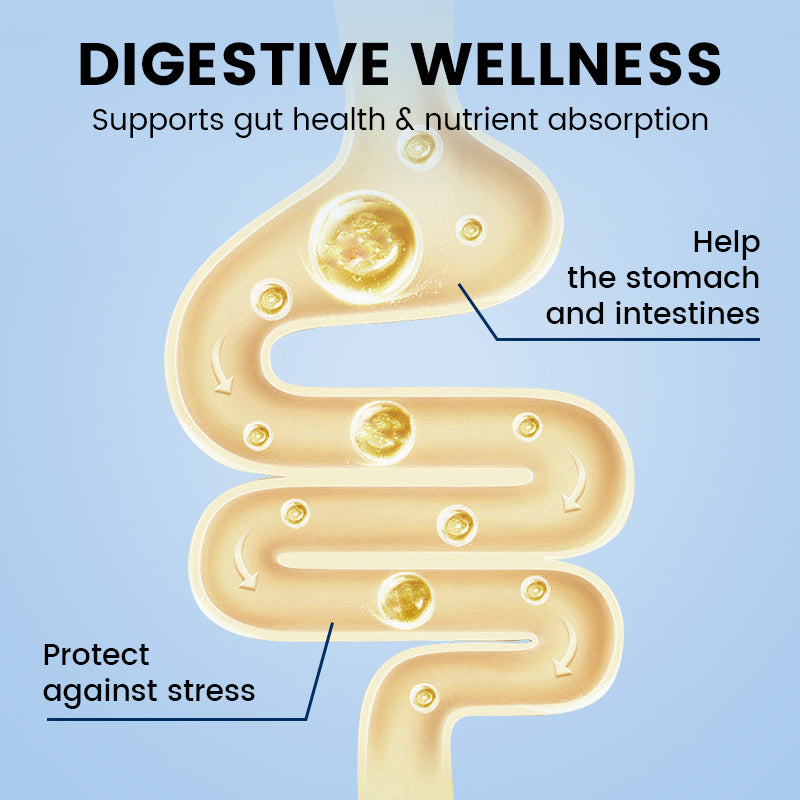 Enhanced Egg Production Feed Supplement
