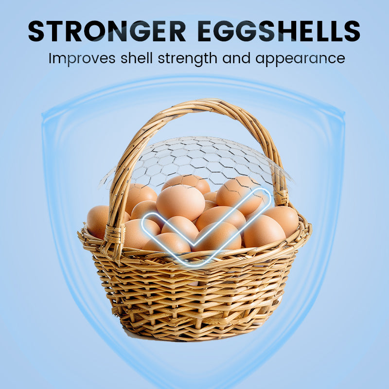 Enhanced Egg Production Feed Supplement