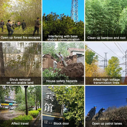Professional weeding, bamboo, trees, pollution-free to make the farm cleaner