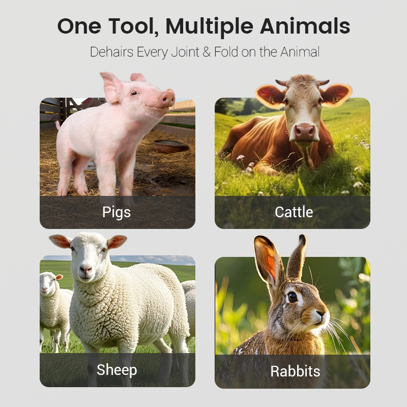 Labor-Saving Pig Hair Remover Scraper Disc