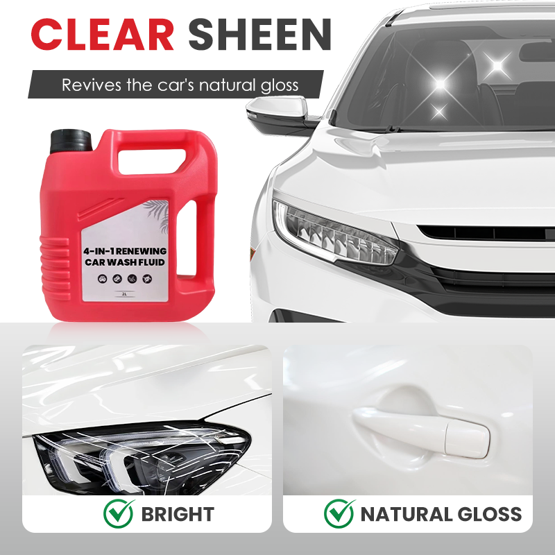 4-in-1 Renewing Car Wash Fluid