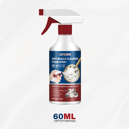 Mold & Mildew Stain Remover