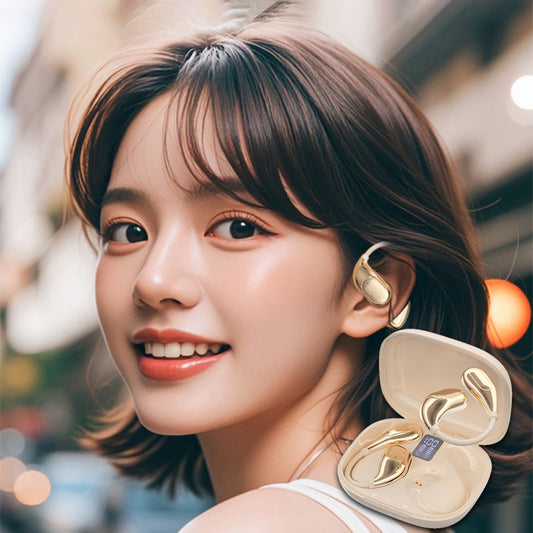 🔥50%OFF hot  Sale🔥HiFi Waterproof Ear-Hook Bluetooth Headphones 🔥