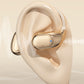 🔥50%OFF hot  Sale🔥HiFi Waterproof Ear-Hook Bluetooth Headphones 🔥
