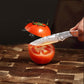 Multi-Functional Sharp Camping Damascus Folding Knife