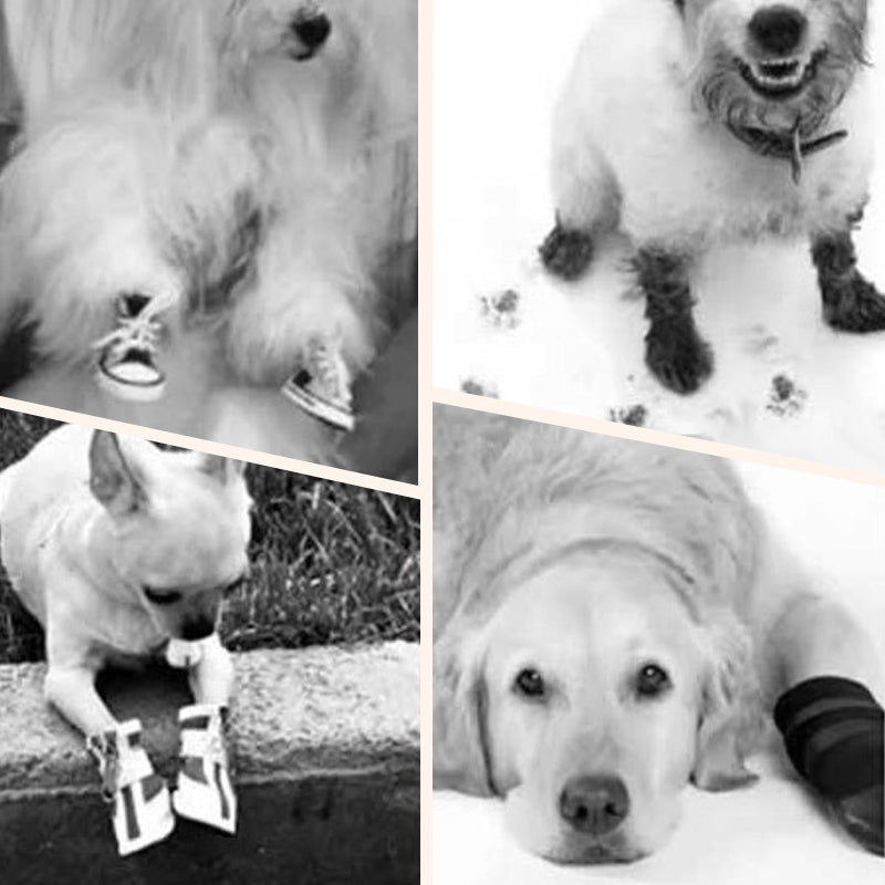 Breathable Glow-in-the-Dark Pet Shoes with Cut-out Design & Hook-and-Loop Closure for Small to Medium Dogs
