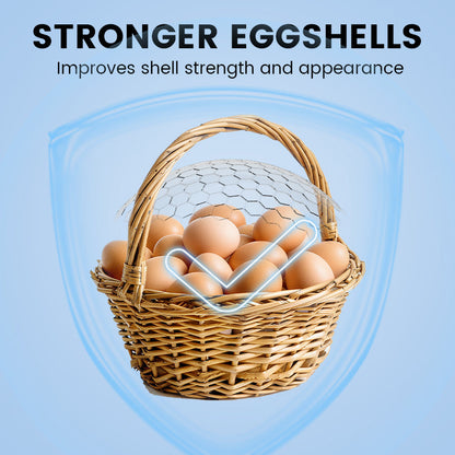 Enhanced Egg Production Feed Supplement