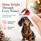 Christmas Dachshund Acrylic Hanging Ornament